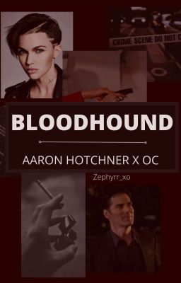 BloodHound | 18  Aaron Hotchner x OC | Criminal Minds Fanfic cover