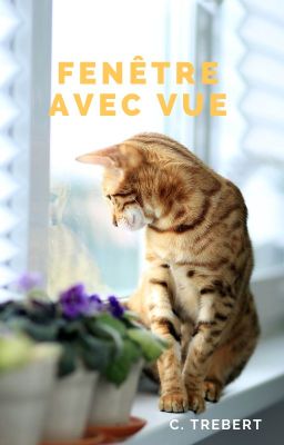 Fenêtre avec vue cover