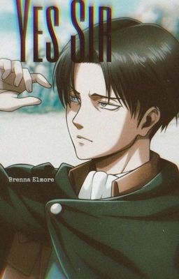 Levi x Reader: Yes Sir cover