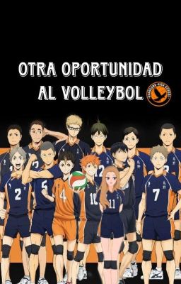 Otra Oportunidad al Volleybol (Haikyuu X T/n) cover