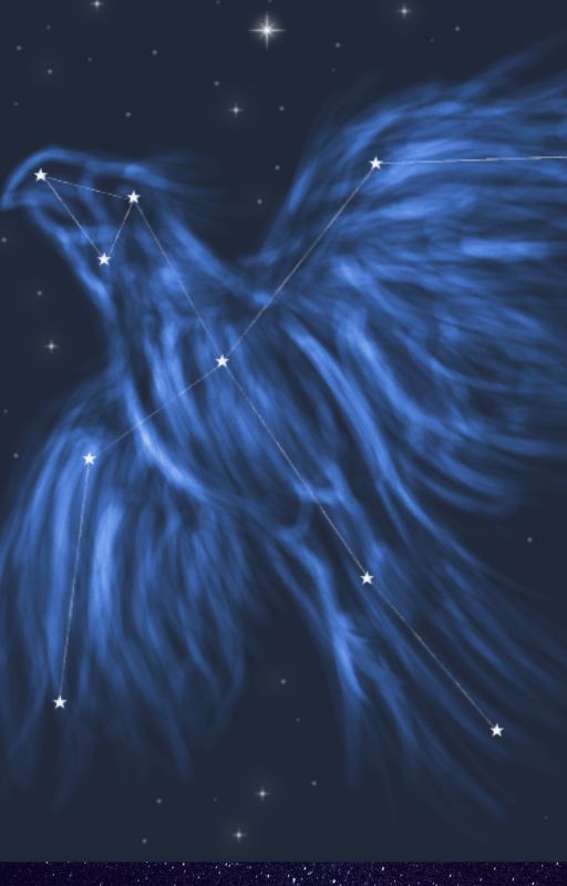 The Phoenix in the Stars by finishbeforesunset