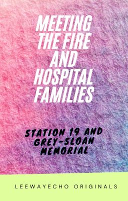 Meeting the Fire and Hospital Families cover