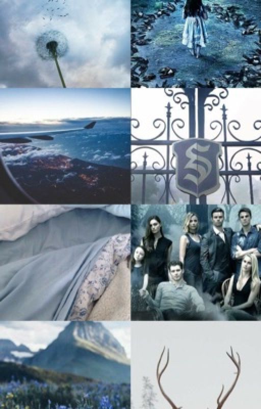 The Originals • Imagines by Anna_Black1918