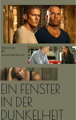 Ein Fenster in der Dunkelheit cover