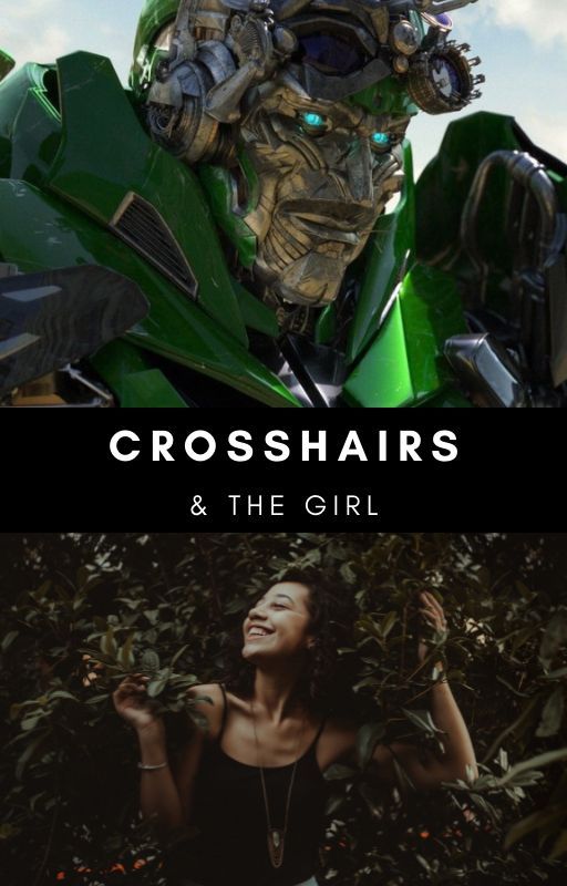 Crosshairs & The Girl - Crosshairs X Female Reader by LostToTheRiver