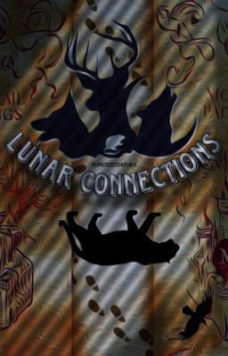 Lunar Connections cover