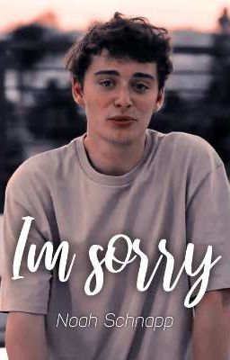 ɪᴍ ꜱᴏʀʀʏ • Noah Schnapp cover