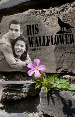 His wallflower cover