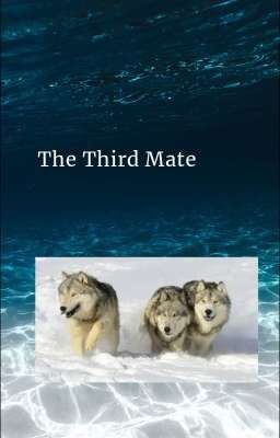 The Third Mates cover