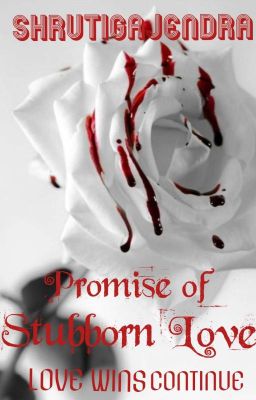 PROMISE OF STUBBORN LOVE (LOVE WINS CONTINUE) cover