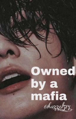 Owned By A Mafia  | Jungkook x reader ✔️ cover