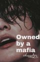 Owned By A Mafia  | Jungkook x reader ✔️ by hazzel_514