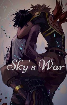 Sky's War  cover