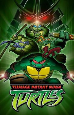 Teenage Mutant Ninja Turtles 2003: Four Turtles More.  Season 1 cover