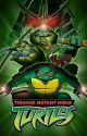 Teenage Mutant Ninja Turtles 2003: Four Turtles More.  Season 1 by Through-the-movies