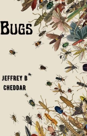 Bugs by JeffreyCheddar