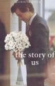 the story of us |h.s.| by lhhismyvice