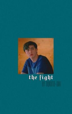 the fight  cover