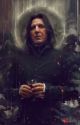 Secrets  (Severus Snape x Reader)(Discontinued) by deathgirl290