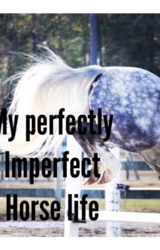 My Perfectly Imperfect Horse Life. by adeno37