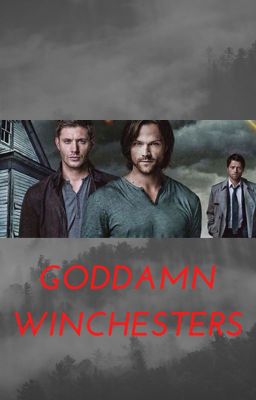 goddamn winchesters cover