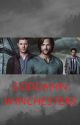 goddamn winchesters by letstalkstories