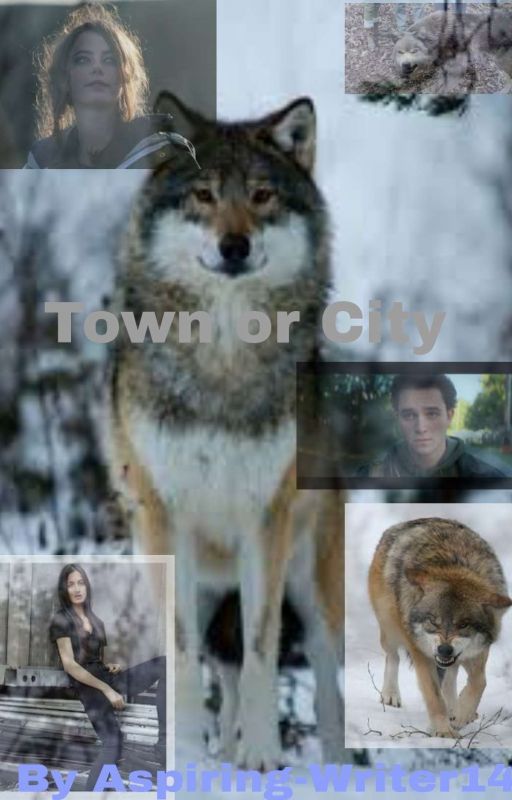 Town or City |Wolfblood| by Aspiring-Writer14