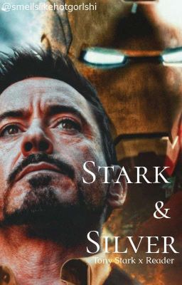 Stark & Silver (Tony Stark x Reader) cover