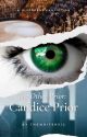 The Other Prior: Candice Prior || Divergent Fanfiction by TheWriter512