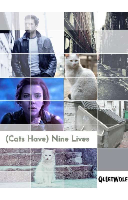 (Cats Have) Nine Lives ♡ Bucky X Natasha by qu1etwolf