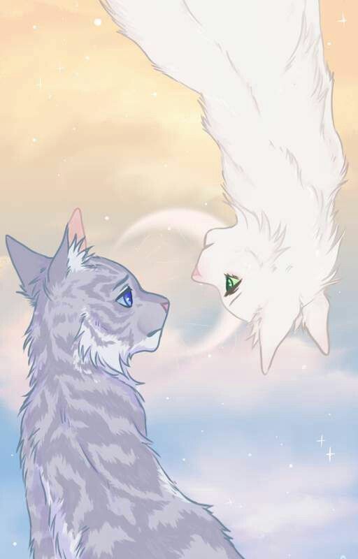 Jayfeather and Half Moon: Kits(Heavy Editing) by _evelyn_bird_