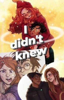 I didn't knew- Hinny  cover