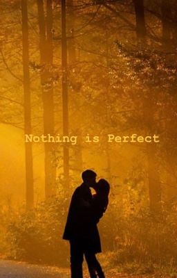 Nothing is Perfect  cover