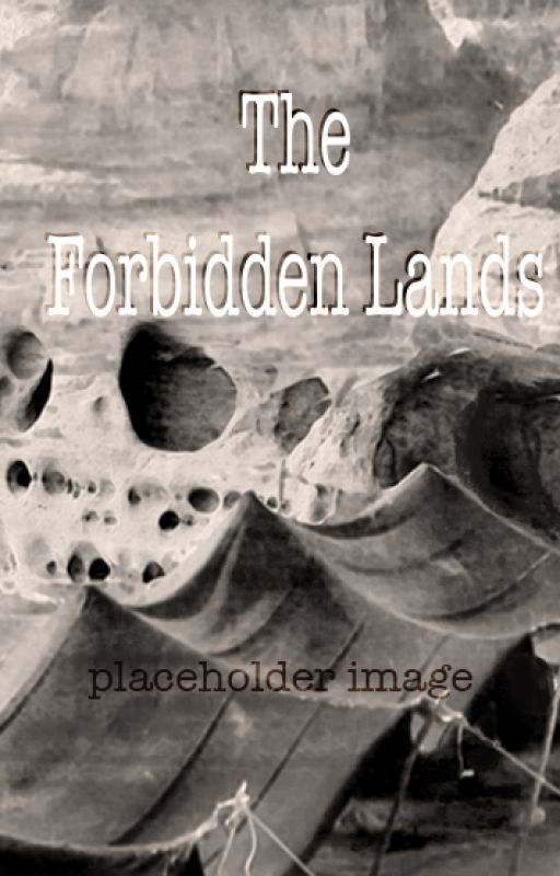 Draft Excerpt - Forbidden Lands by wanderspacemanifolds