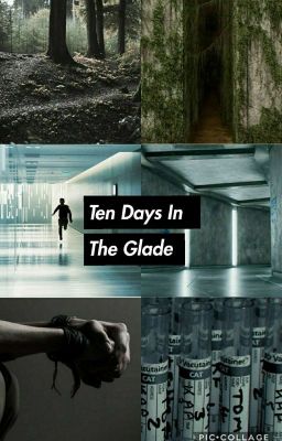 10 days in the glade // The Maze Runner: BOOK ONE (COMPLETE)  cover