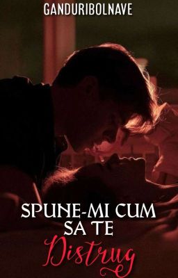 Spune-mi cum să te distrug  cover