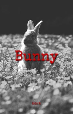 Bunny cover