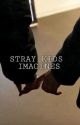 Stray Kids Imagines by jeonghansupremacy