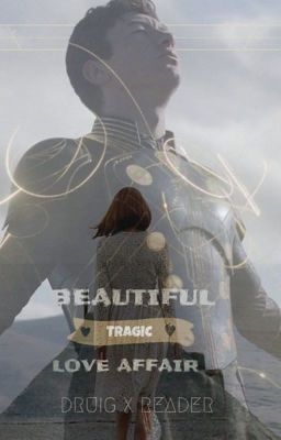 Beautiful Tragic Love Affair cover