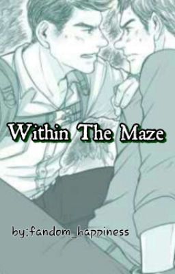 Within The Maze Walls cover