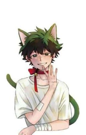 Neko Deku //Dadzawa//[zawieszona]  by neweeb