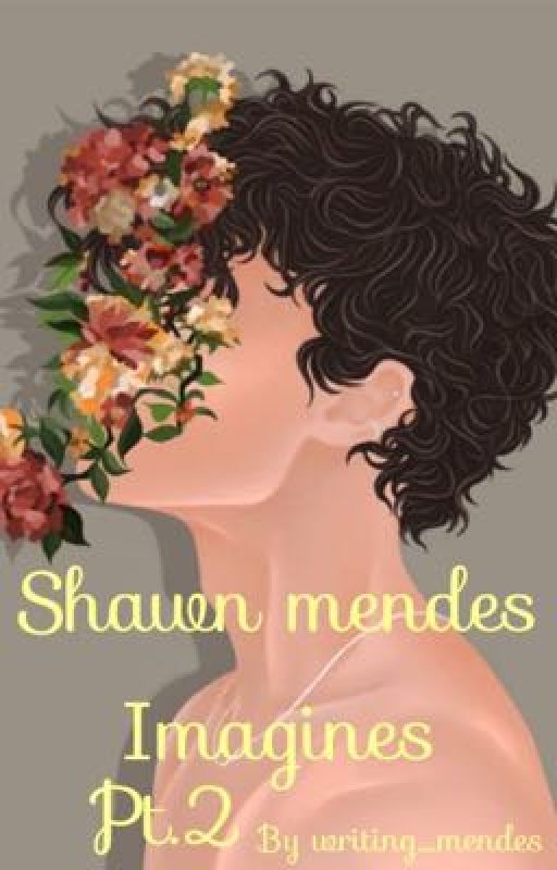 Shawn mendes imagine pt. 2 ** by Writing_sprendes