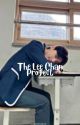 lee chan project ✔ by dinonaraz