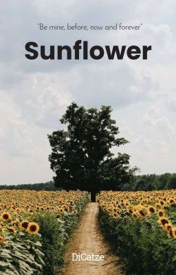 Sunflower (gxgxg) cover