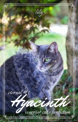 eternal: hyacinth || warrior cats cover