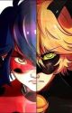 Are You All That Bad? |Miraculous: Enemies to lovers| by Bugaroo24