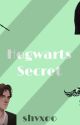 Hogwarts Secret | Marauders Era by shvxoo