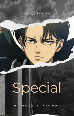 Special (Levi x Reader) cover