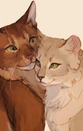 Rating Warrior cats ships by jadefox888