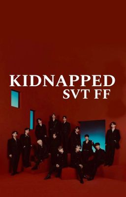 KIDNAPPED seventeen ff ot13 cover